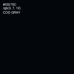 #03070C - Cod Gray Color Image